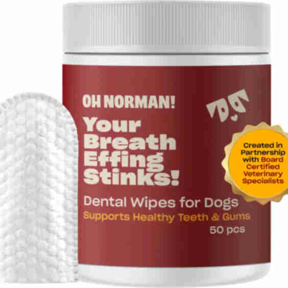Your Breath Effing Stinks