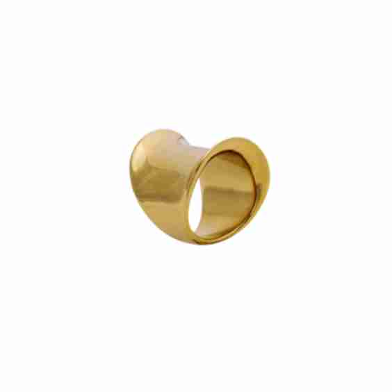Ring of Susa