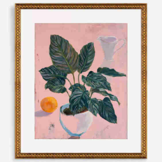 Calathea Sanderiana Wall Art