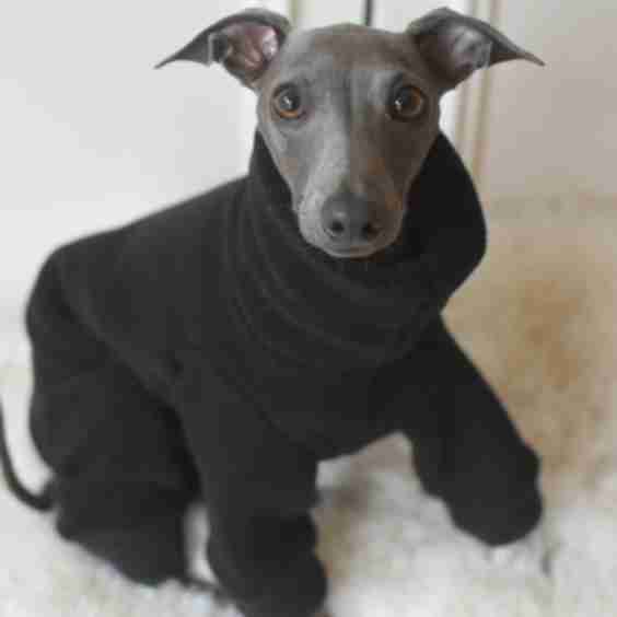 Black Fleece Apparel 
