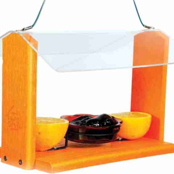 Deluxe Oriole Wild Bird Feeder