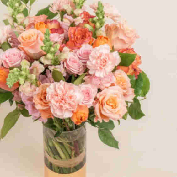 Cami Flowers