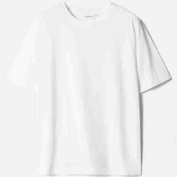Standard Cotton T-Shirt