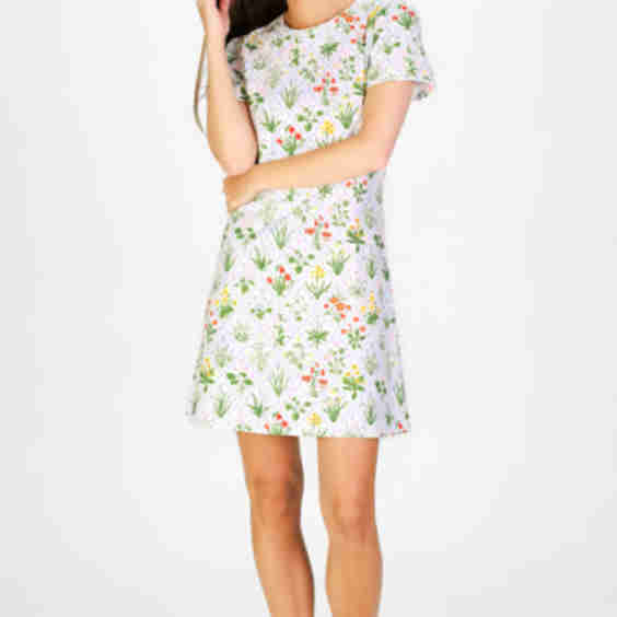 Alva Dress