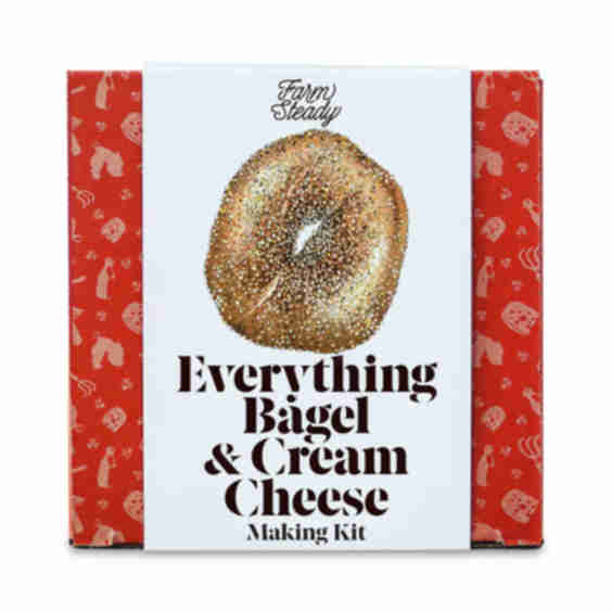 Everything Bagel & Cream Cheese Making Kit