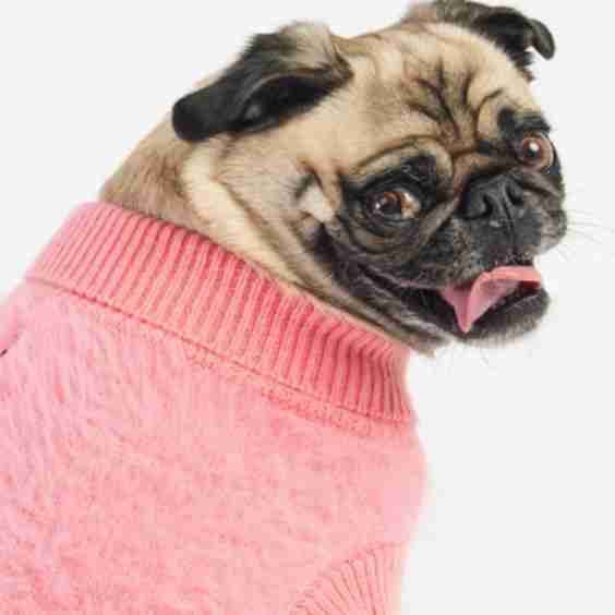 Fifi Fluffy Sweater