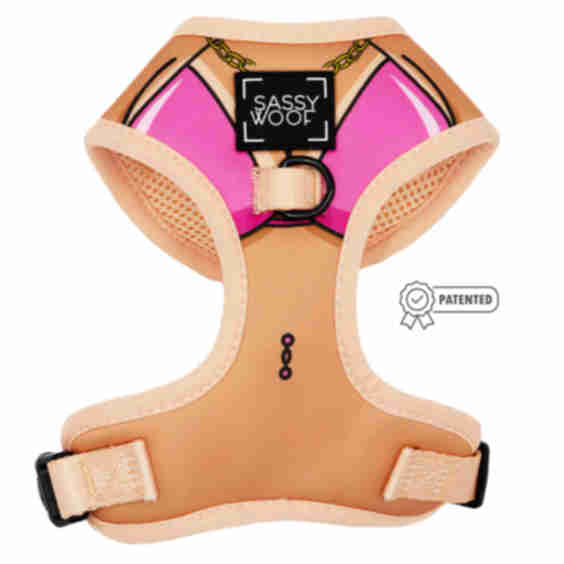 Dog Adjustable Harness - Bikini Bod