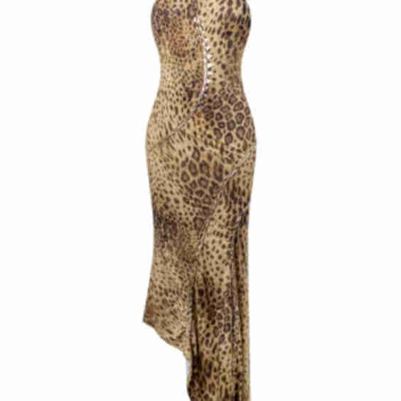Chirah High Neck Halter Leopard Print Backless Maxi Dress