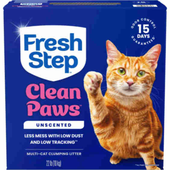 Clean Paws Unscented Cat Litter, 22 lb Box