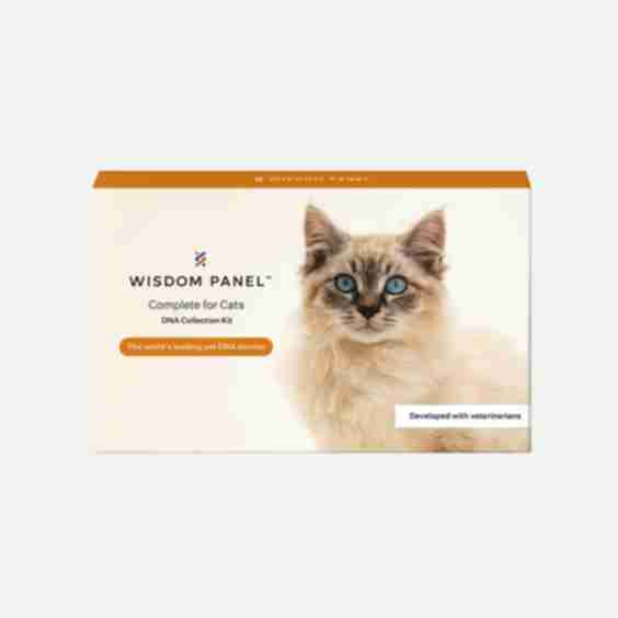 Complete for Cats DNA Collection Kit