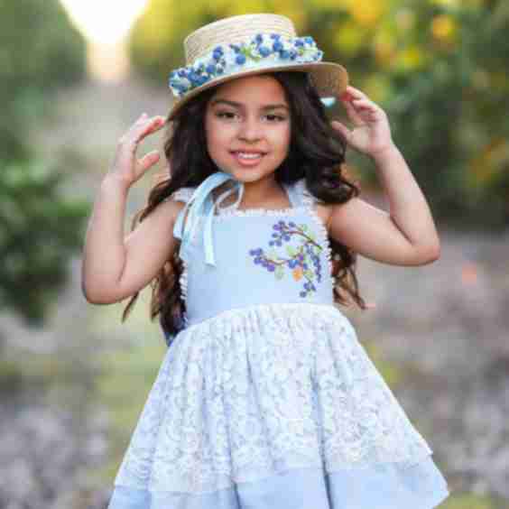 Blueberry Delight Dress