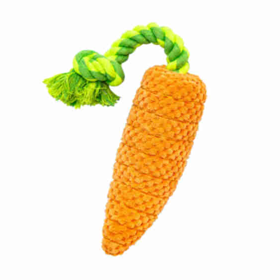 Carrot Toy