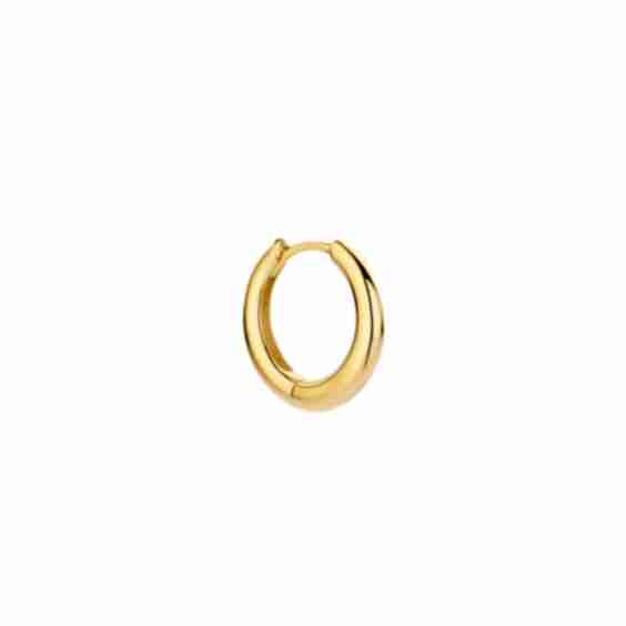 Hoop Earring