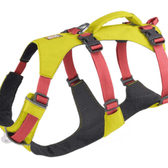 Flagline Front-Clip Dog Harness