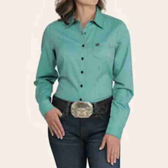 Teal Stripe Print Western Shirt