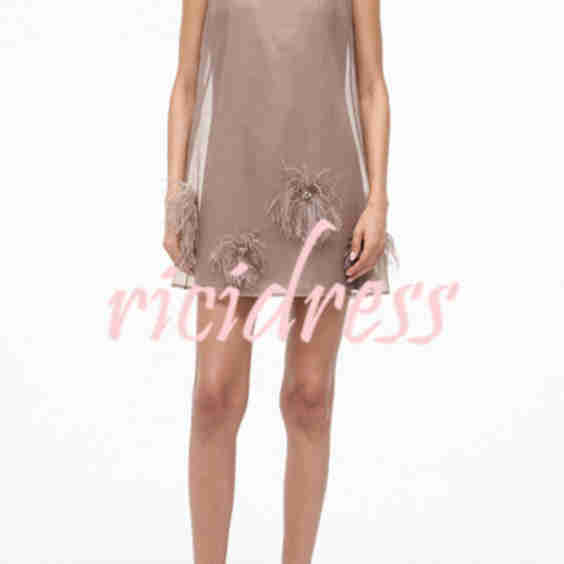 Playful Charm Sheer Chiffon Embellished Feather Back Bow H-line Mini Dress