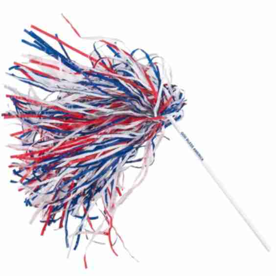 Imprinted Long Handle Pom Poms