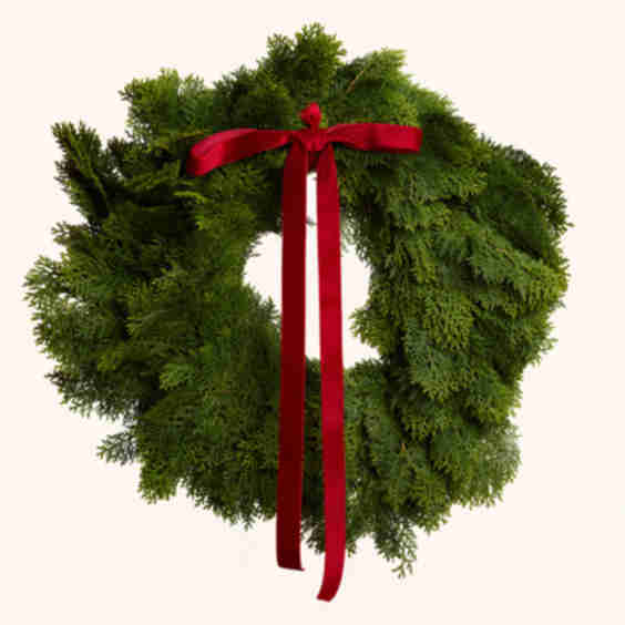 The Cedar Wreath
