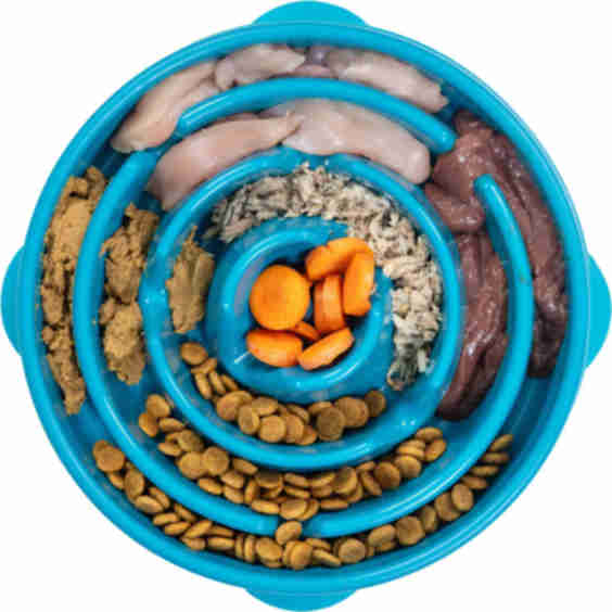 Fun Feeder Slo Bowl, Slow Feeder Dog Bowl, 4-cup