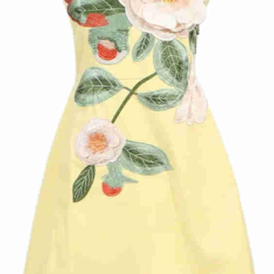 Strapless Embroidered Floral Dress