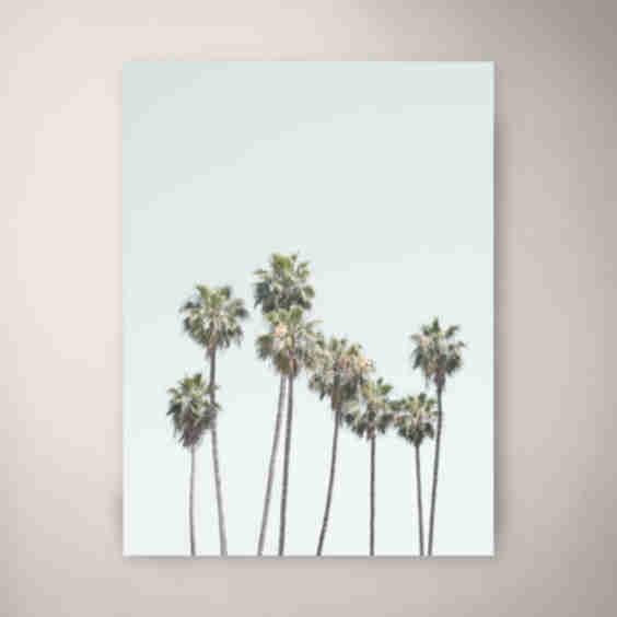 Palm Trees II Art Print 