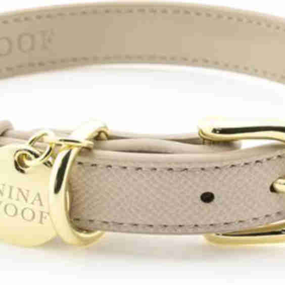 Copenhagen Dog Collar