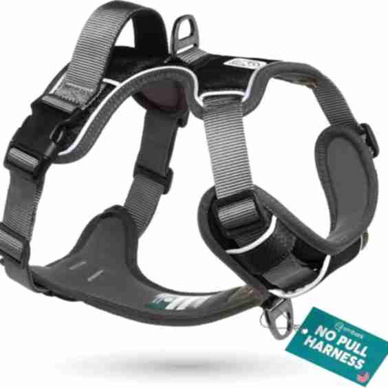 Adventure No Pull Dog Harness, Medium