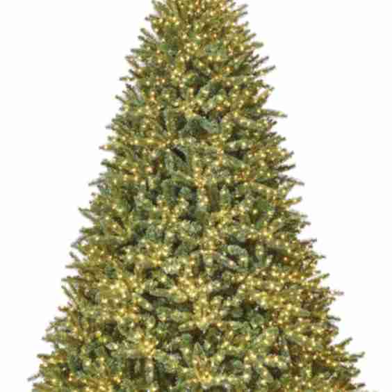 Pre-Lit Indoor Taylor Twinkle Christmas Tree 3500 Micro Brite LED Lights 7 ft