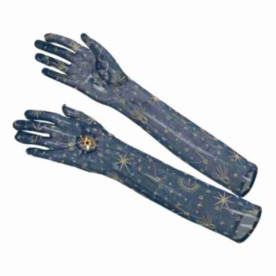 Celeste Long Gloves