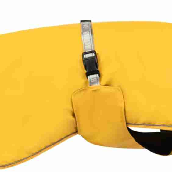 Dog Raincoat, XXX-Large