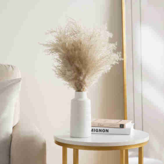 Pampas in Pot, 50 Cm