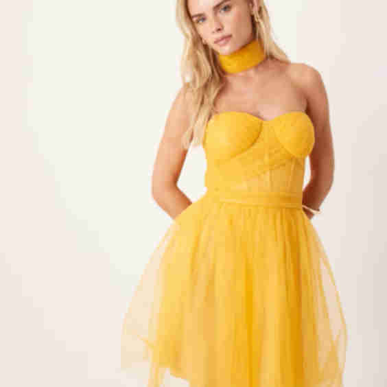 Petite Scarf Neck Corset Tulle Mini Dress
