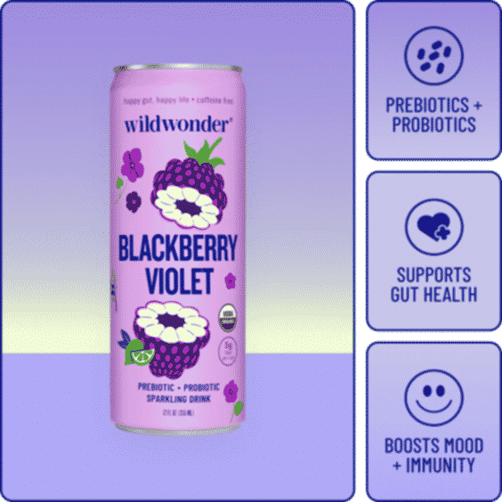 Prebiotic + Probiotic Sparkling Drink Blackberry Violet 12 Cans
