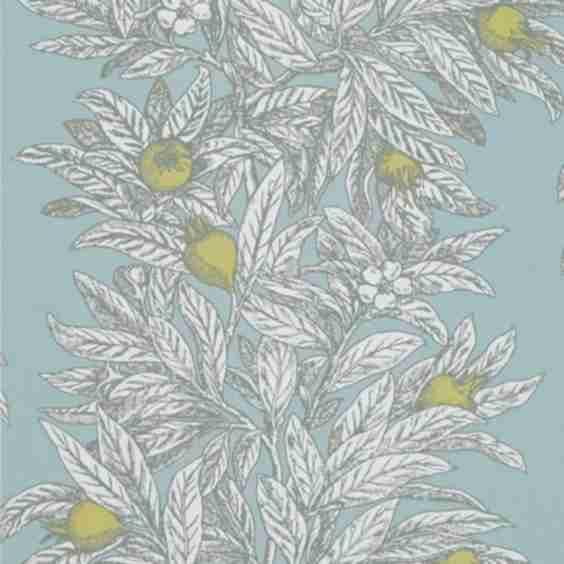Medlar Wallpaper