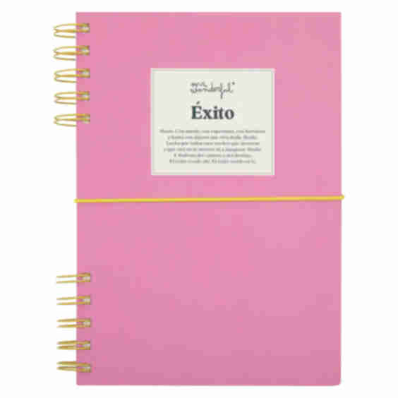 A5 Notebook - Goal: All My Great Successes