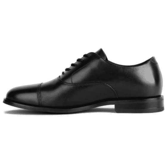 The Regent Shoe