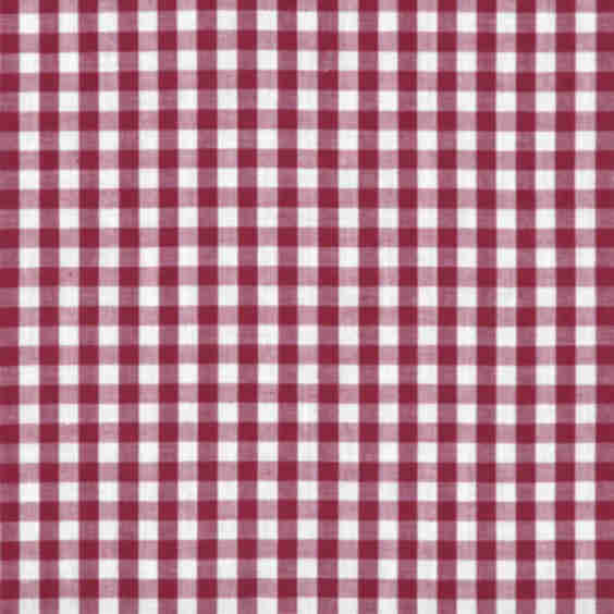 1/4" Gingham Fabric