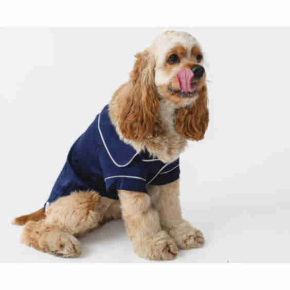 Blue Dog Pajamas, Cozy Loungewear PJs for Small Dogs