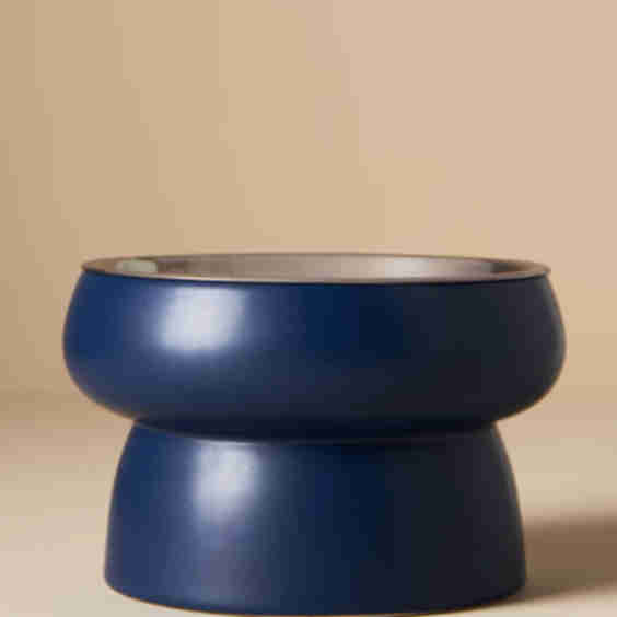 Ceramic Raised Dog Feeder