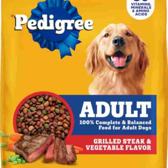 Complete Nutrition Grilled Steak & Vegetable Flavor Dog Kibble Adult Dry Dog Food