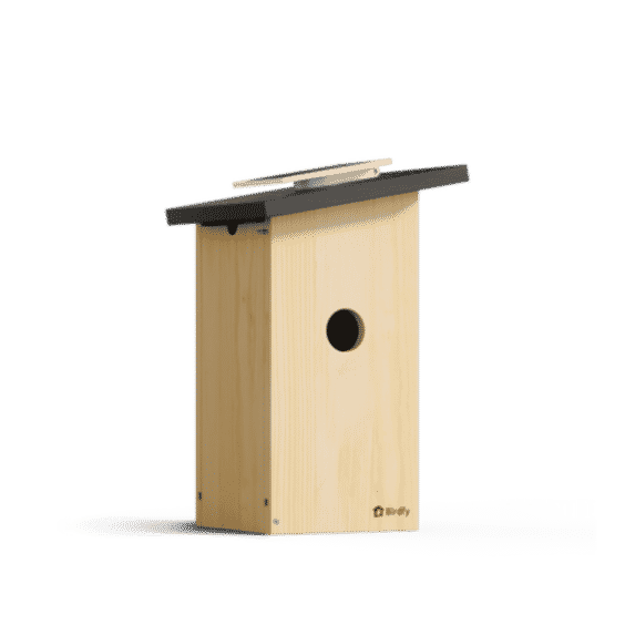 Solar Powered Smart Bird House with Camera