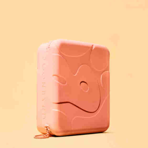 Little Peach Travel Case