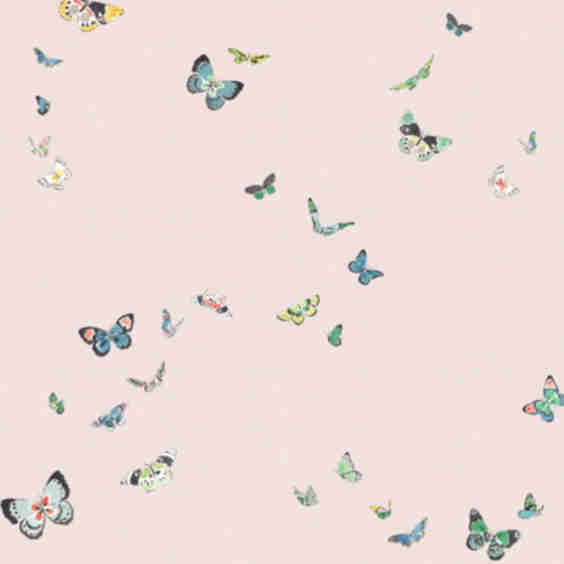Butterflies Wallpaper