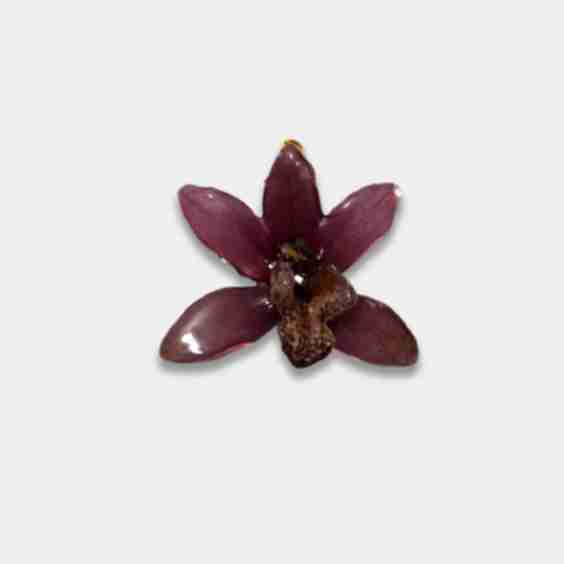 Orquídea / Talisman 03 Pendant