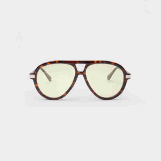 The Era Tortoise