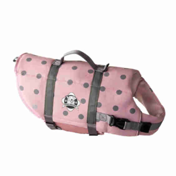 Neoprene Dog Life Jacket