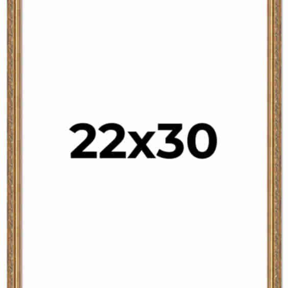 22x30 Museum-Quality Picture Frame with Uv-Resistant Acrylic & Acid-Free Backing, Available in 4 Finishes