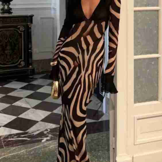 V Neck Zebra Print Party Dress