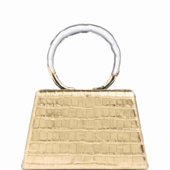 Lucite Quad Croc Embossed Top Handle Bag