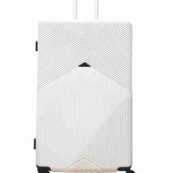 Palais Expandable Spinner Luggage